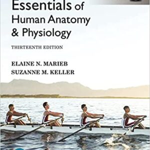 Essentials of Human Anatomy and Physiology 13th Edition
