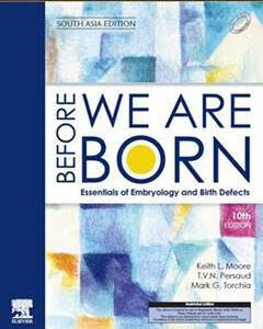 Before We Are Born 10th Edition