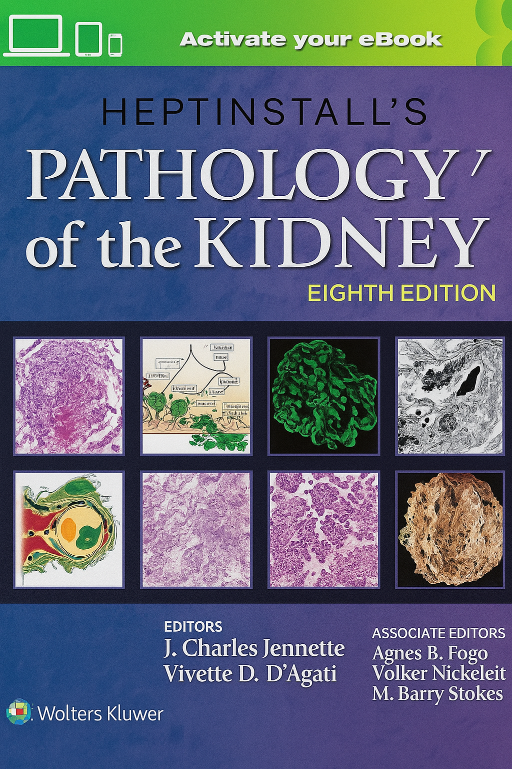 Heptinstalls Pathology of the Kidney 8th Edition