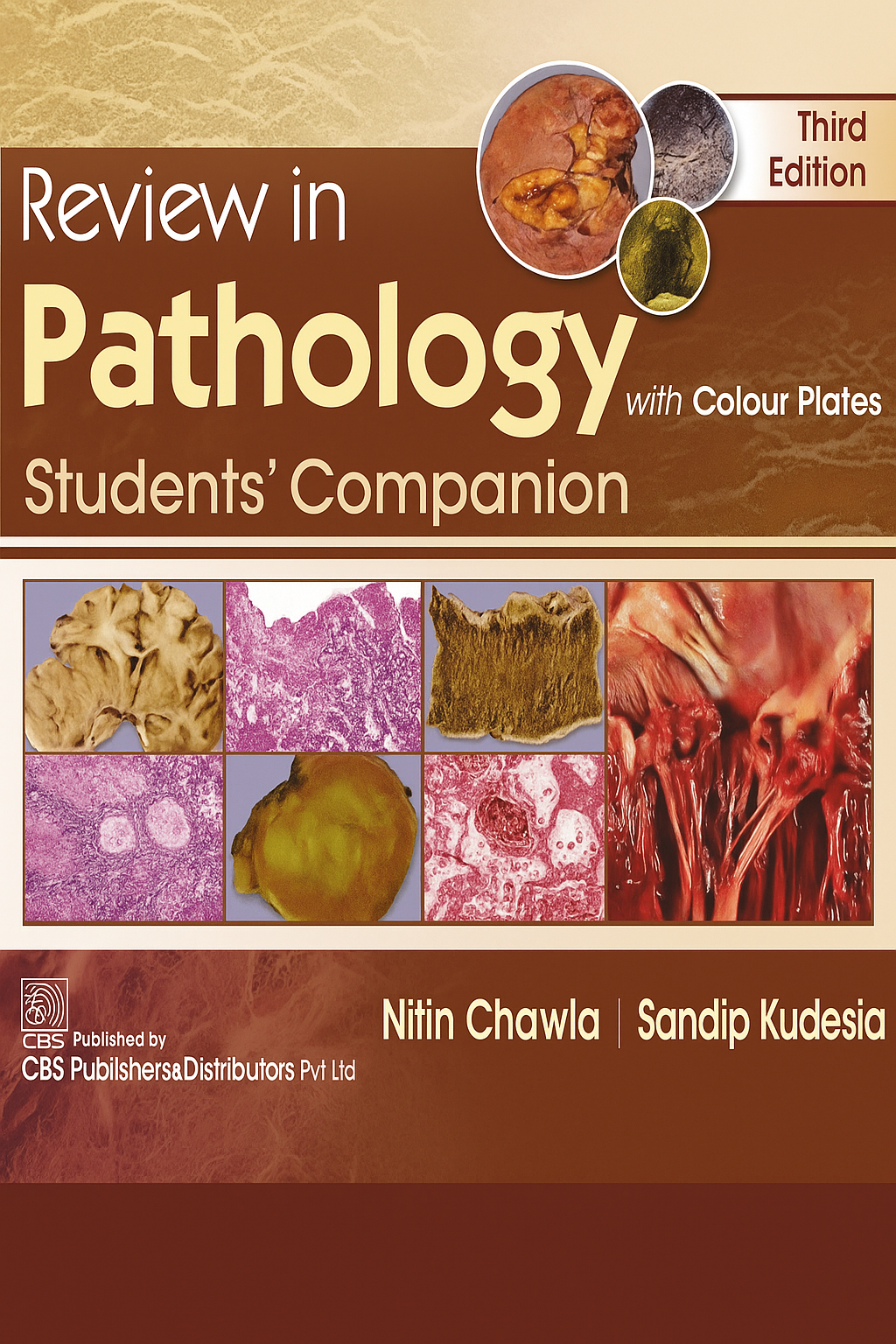 Review in Pathology with Colour Plates: Students Companion 3rd Edition