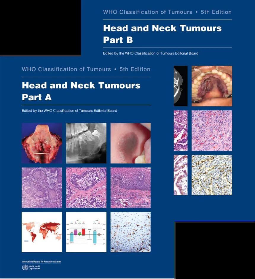 WHO Classification of Tumours: Head and Neck 5th Edition