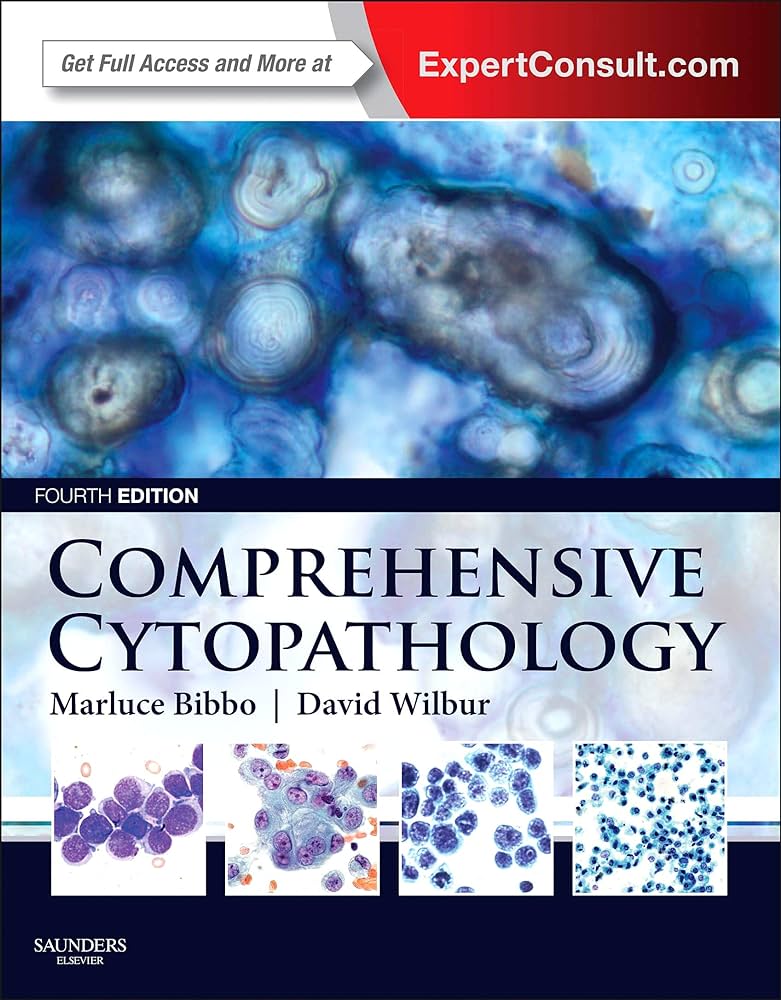 Comprehensive Cytopathology 4th Edition