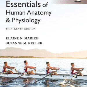 Essentials of Human Anatomy and Physiology 13th Edition