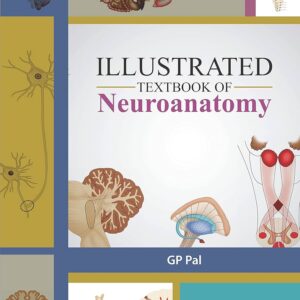 Illustrated Textbook of Neuroanatomy 1st Edition