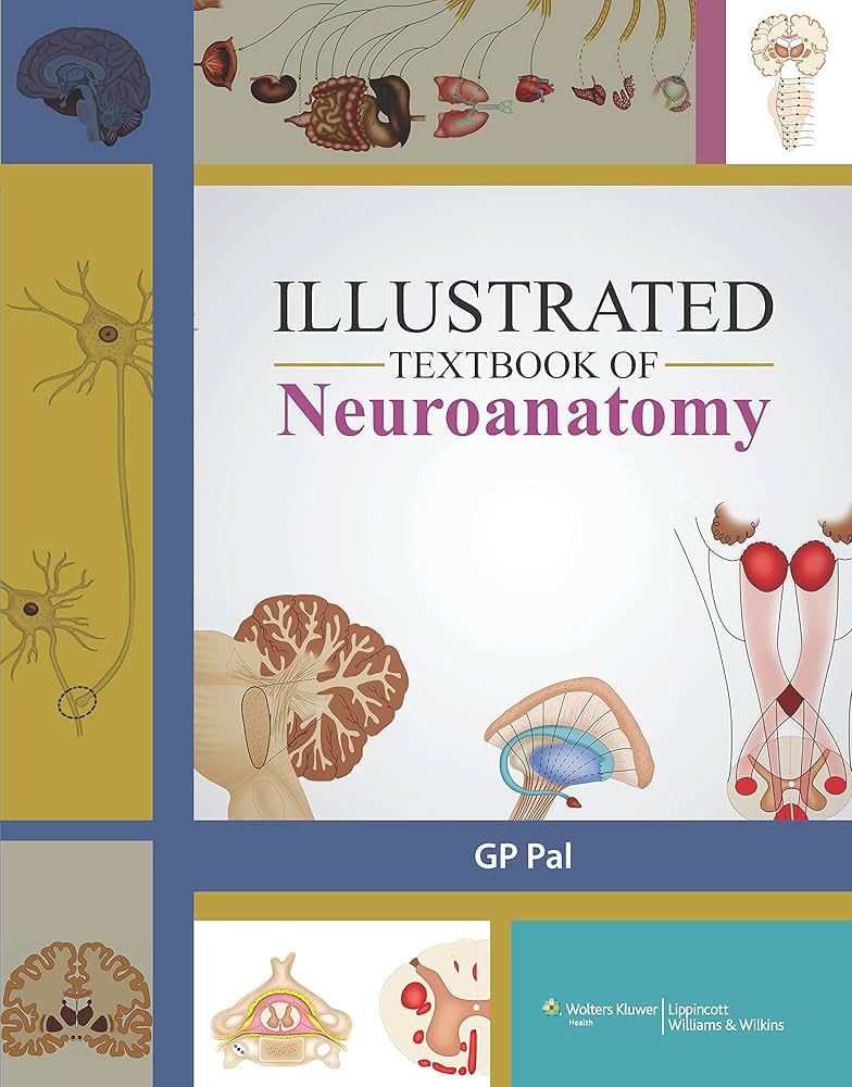 Illustrated Textbook of Neuroanatomy 1st Edition