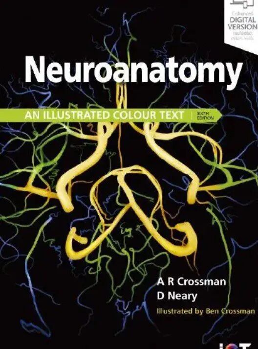 Neuroanatomy: an Illustrated Colour Text 6th Edition