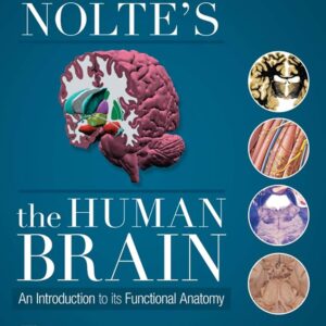 Nolte's The Human Brain 8th Edition