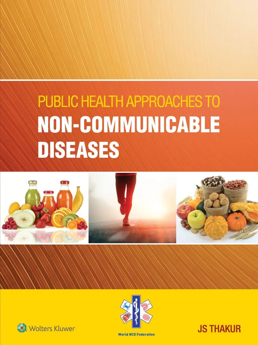 Public Health Approaches to Non Communicable Diseases 1st Edition