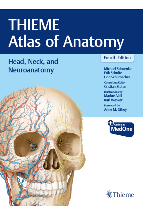 Thieme Atlas of Anatomy: Head, Neck, and Neuroanatomy 4th Edition