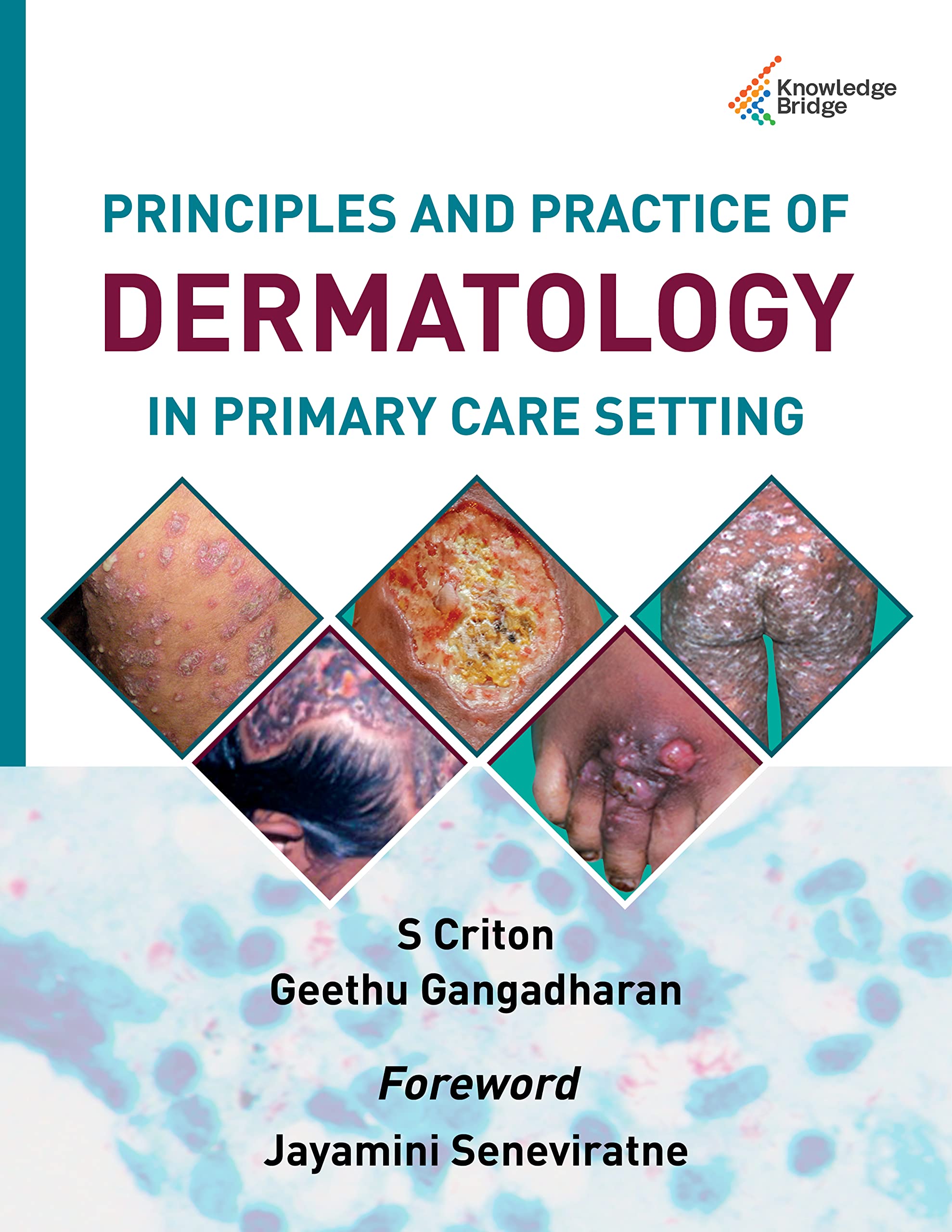 Principles and Practice of Dermatology in Primary Care Settings 1st Edition